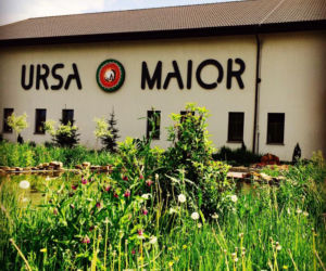 Ursa Maior