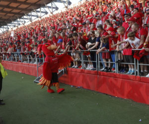 Widzew Łódź - Piast Gliwice: Zdjęcia kibiców i zawodników z meczu 34. kolejki PKO BP Ekstraklasy