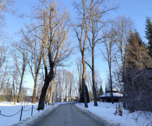 Prokuratura umorzyła śledztwo w sprawie śmierci trzech osób w parku zdrojowym w Rabce - Zdrój