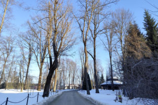Prokuratura umorzyła śledztwo w sprawie śmierci trzech osób w parku zdrojowym w Rabce - Zdrój