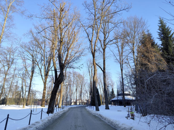 Prokuratura umorzyła śledztwo w sprawie śmierci trzech osób w parku zdrojowym w Rabce - Zdrój