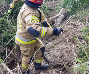 Wisła wyrzuciła ciało młodego mężczyzny. Potworność