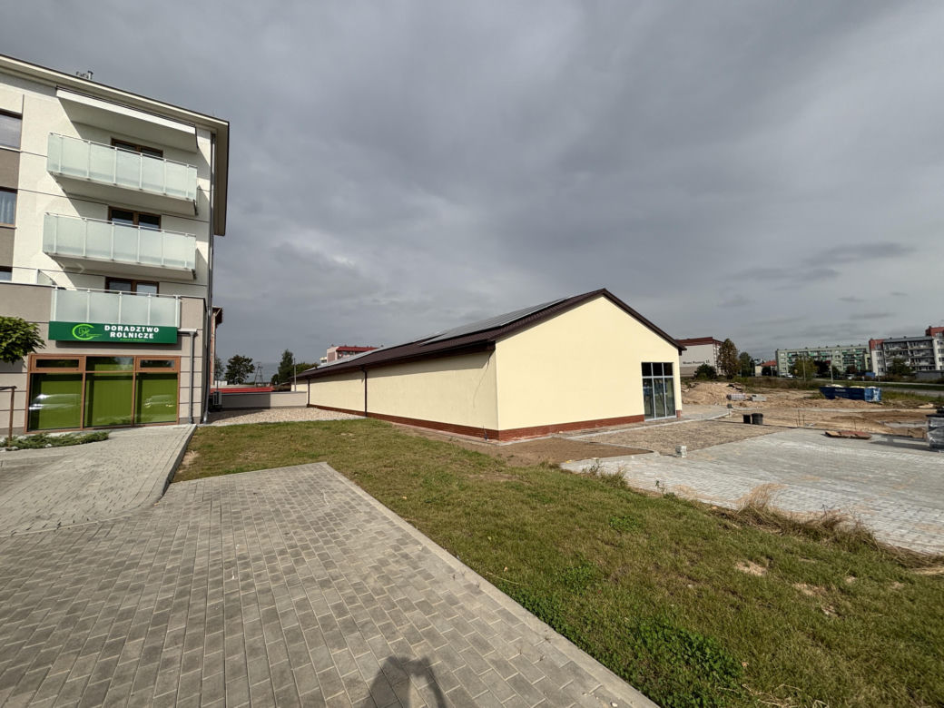 Dino w Sejnach