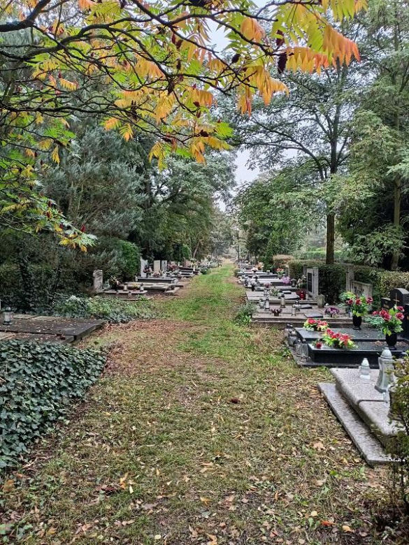 Cmentarz Junikowo Poznań