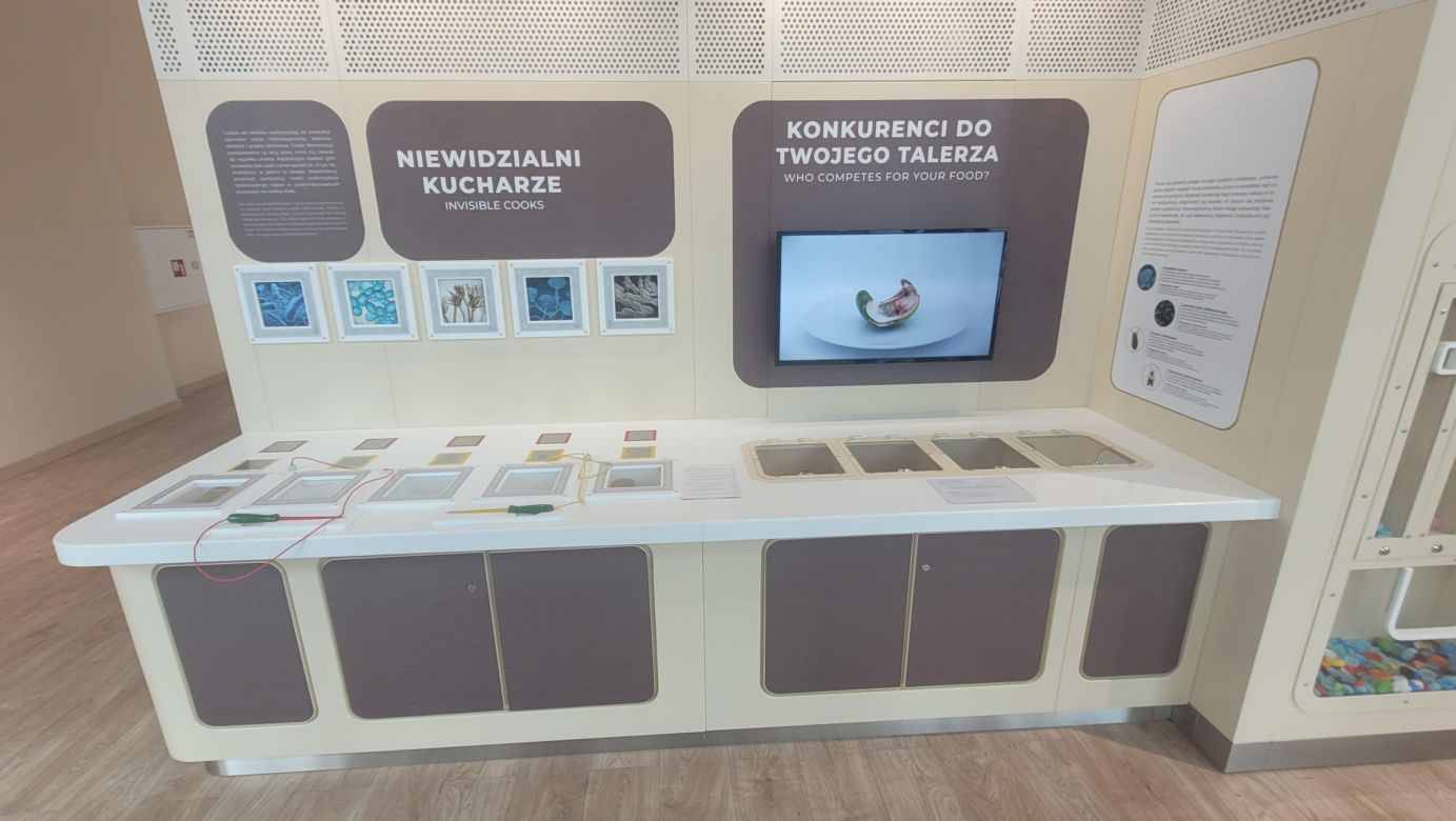 Wielkie otwarcie Centrum Nauki „Kortosfera”. „Jesteśmy dla wszystkich” [ZDJĘCIA]