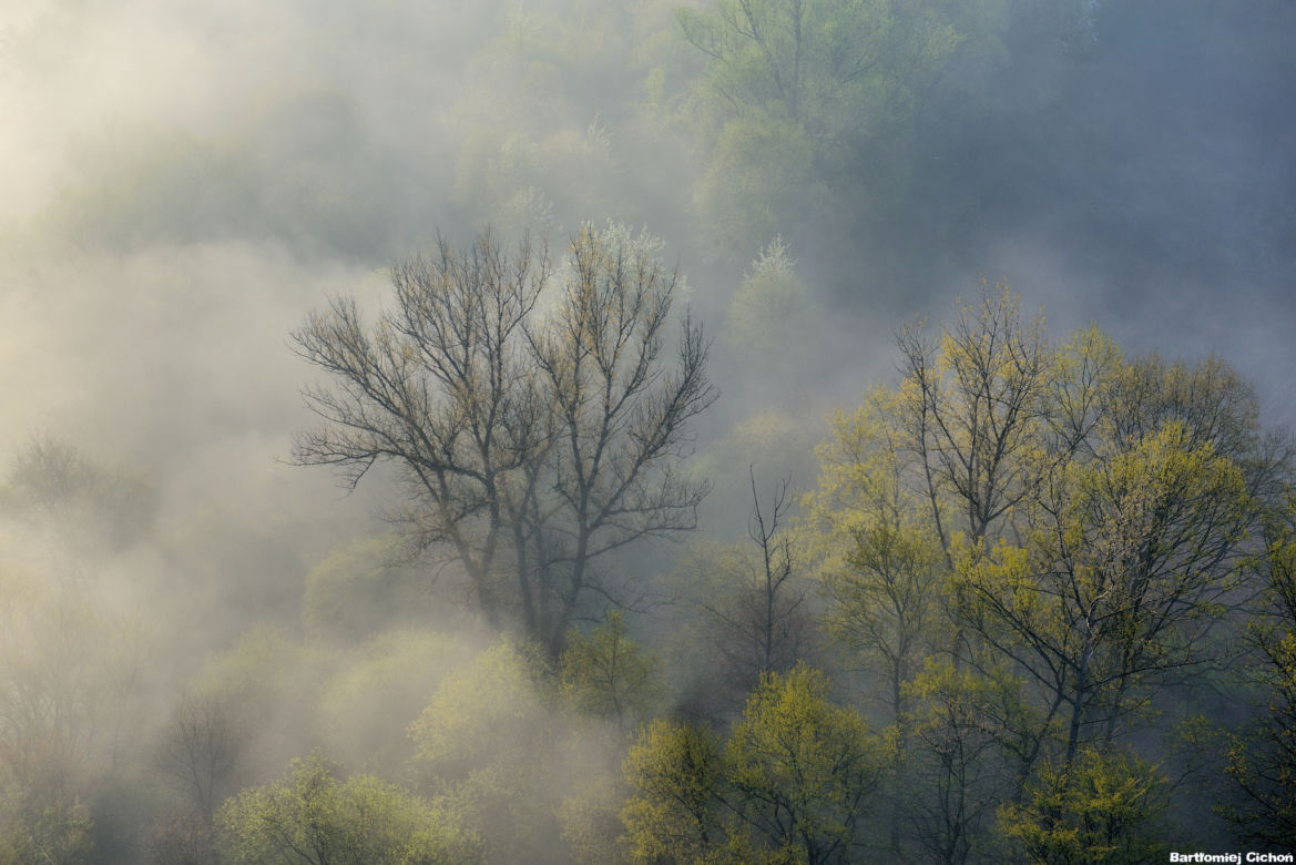 Nie uwierzycie własnym oczom. Tak wygląda Nowa Huta sfotografowana... z motoparalotni! [GALERIA ZDJĘĆ]