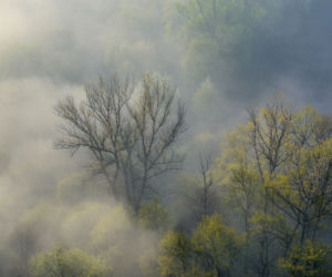 Nie uwierzycie własnym oczom. Tak wygląda Nowa Huta sfotografowana... z motoparalotni! [GALERIA ZDJĘĆ]