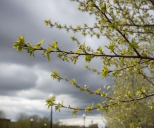 Pogoda na weekend w Toruniu 1-3 maja 2026. Duży wzrost temperatury, ale w niedzielę czeka nas niespodzianka