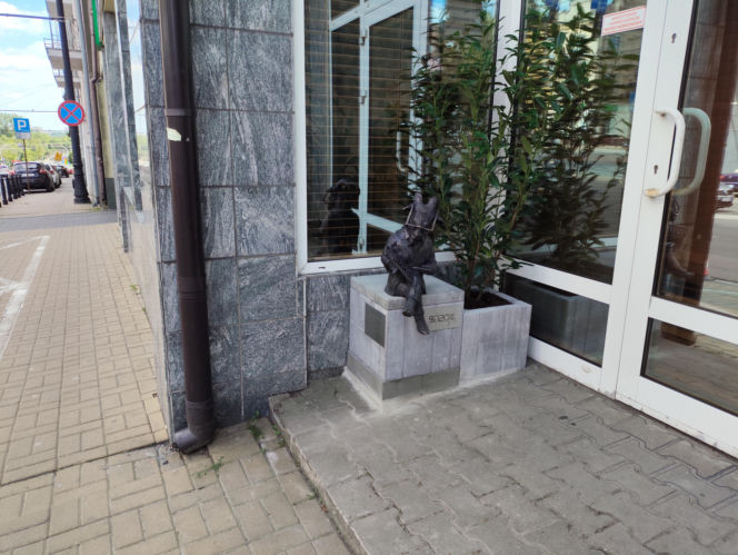 Kolejny koziołek zamieszkał w Lublinie. Tym razem to księgowy Stefan