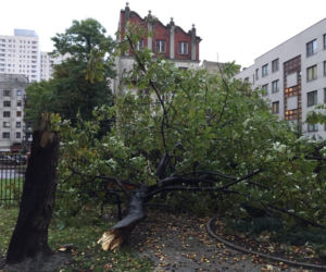 6 Łódź po wichurze: Manhattan