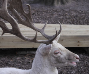 Zwierzęta w białostockim ZOO budzą się na wiosnę