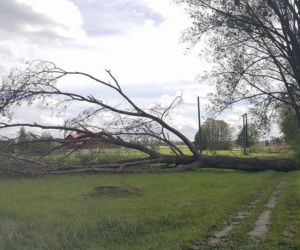 3 Skutki nawałnicy w woj. łódzkim /okolice Giemzowa