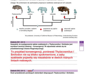 Matura 2026 biologia ROZSZERZONA: Arkusze CKE i odpowiedzi - sprawdź, czy zdałeś! 8.05.2026