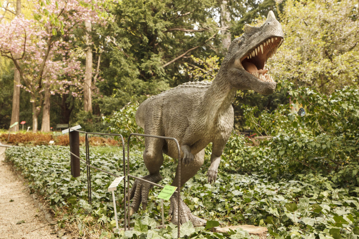 Dinozaury opanowały wrocławski ogród botaniczny