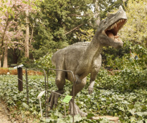 Dinozaury opanowały wrocławski ogród botaniczny