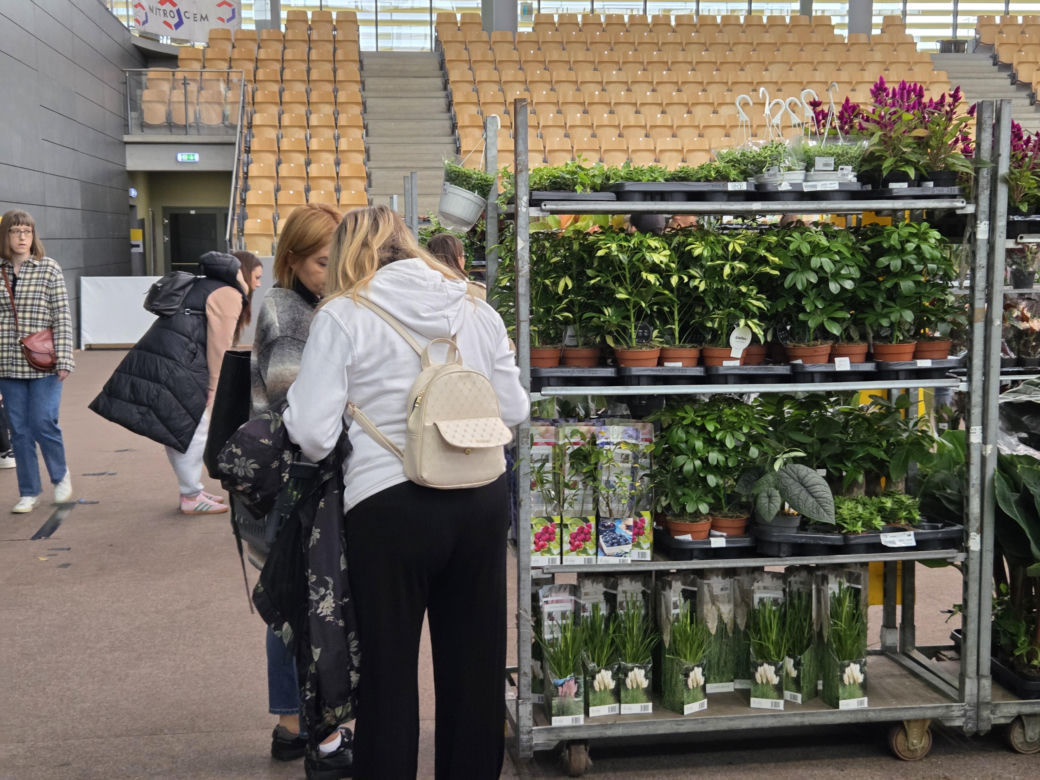 Festiwal Roślin znów zachwycił bydgoszczan! Setki gatunków i wyjątkowa atmosfera