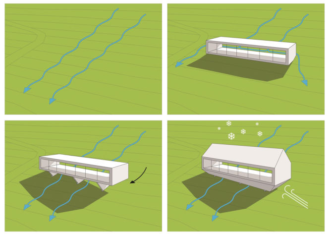 Arka Koniecznego w Brennej