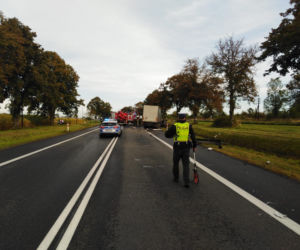 Tragiczny wypadek w Ostaszewie. Nagły manewr i straszna śmierć kierowcy
