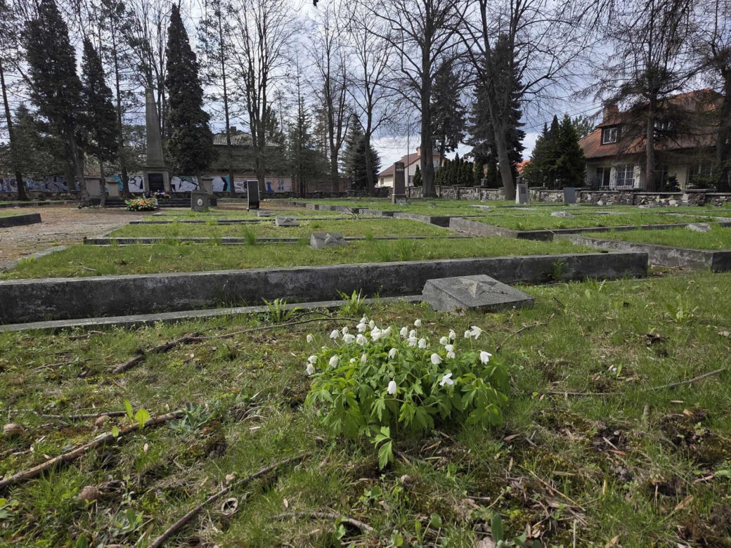  Cmentarz Armii Radzieckiej