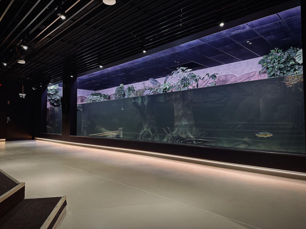 Nowe Egzotarium w Sosnowcu