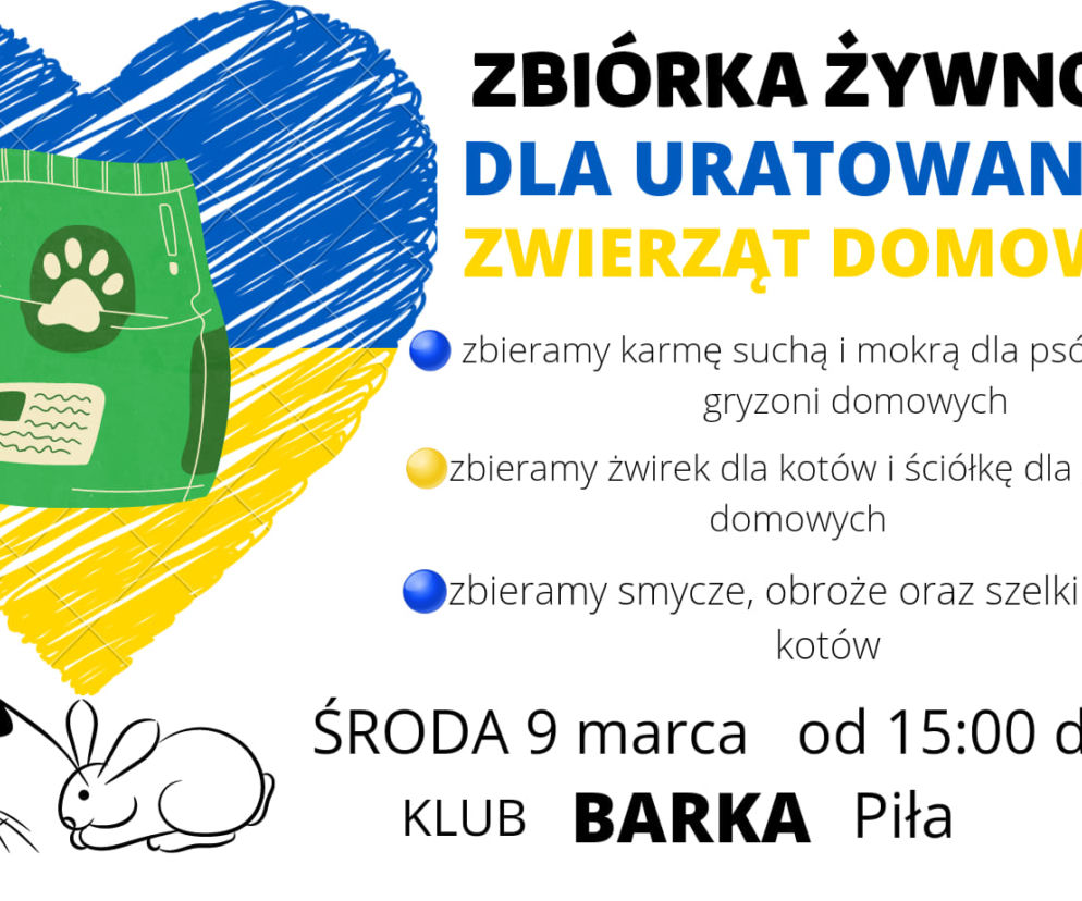 BARKA PIŁA