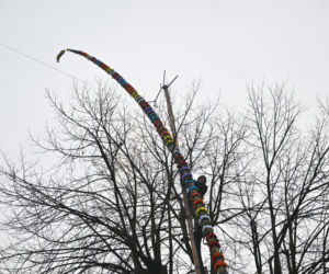35 metrów i 80 centymetrów liczy palma, która zwyciężyła tegoroczny konkurs palm w Lipnicy Murowanej
