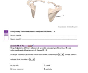 Matura 2026: biologia ROZSZERZONA 8.05.2026r. Arkusze CKE, poziom podstawowy [Formuła 2023]