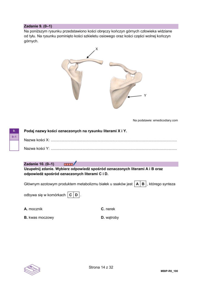 Matura 2026: biologia ROZSZERZONA 8.05.2026r. Arkusze CKE, poziom podstawowy [Formuła 2023]