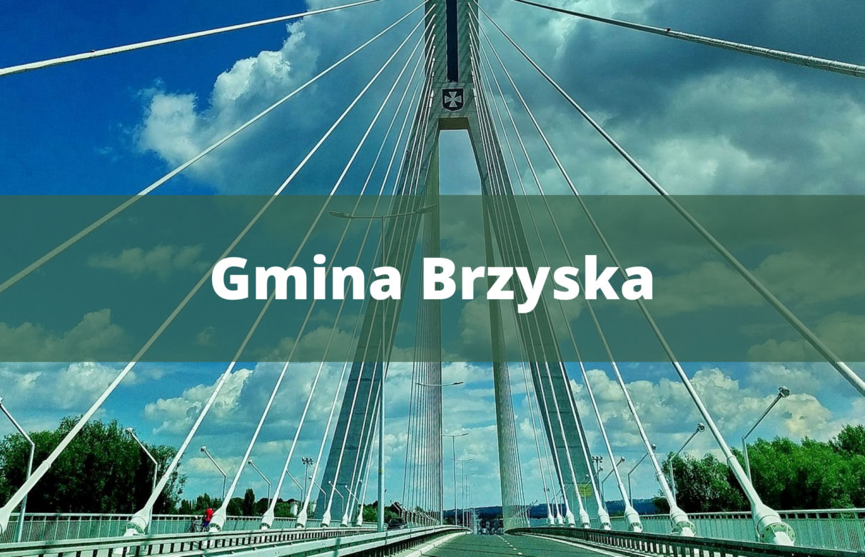 10. Gmina Brzyska