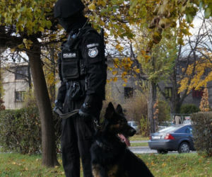 Mecz podwyższonego ryzyka w Bielsku-Białej