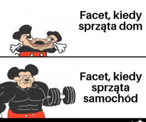 Memy o samochodach