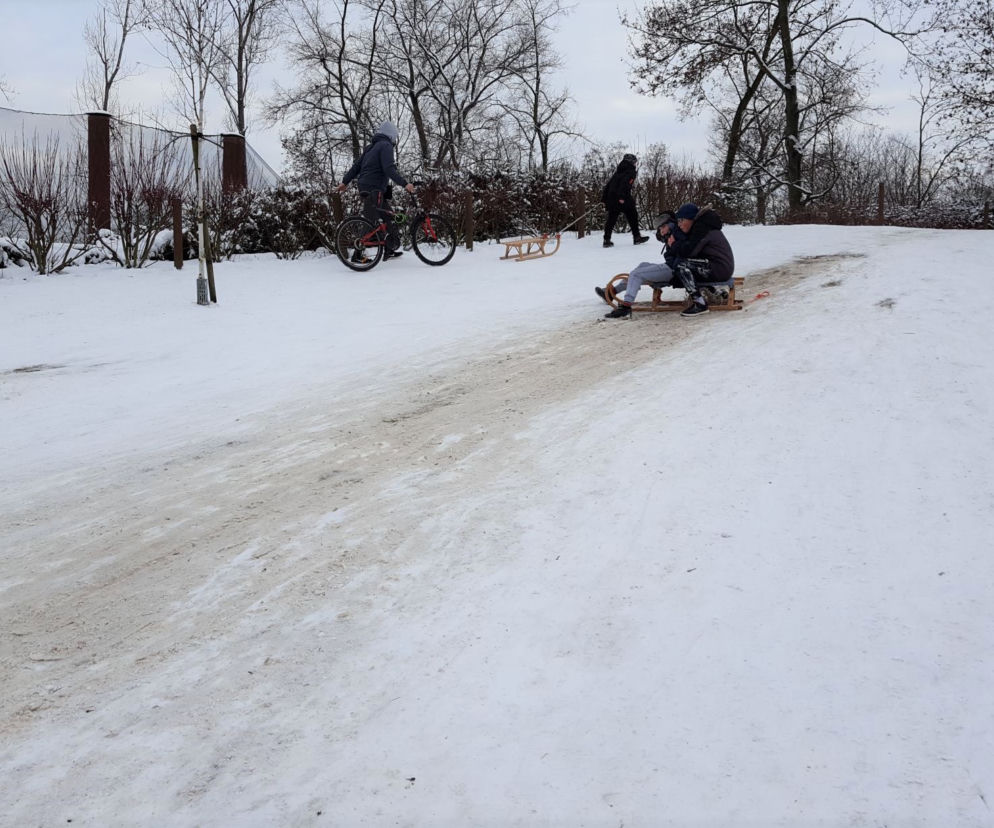 Z górki na pazurki, czyli zima w Parku 1000-lecia w Lesznie 
