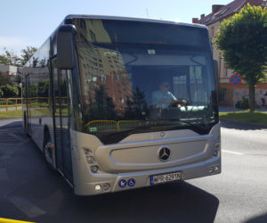 Pierwszy kurs autobusu przegubowego w Grudziądzu