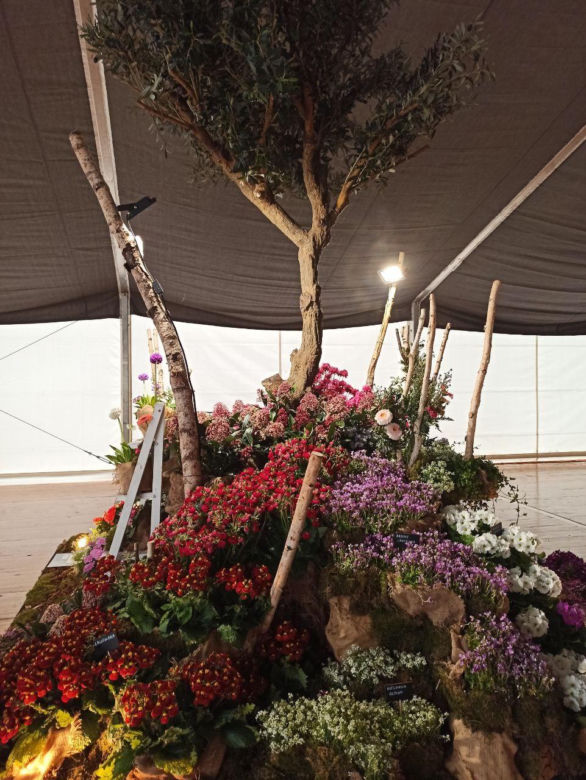 World Flower Show w Poznaniu