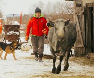 Rolnicy. Podlasie - premiera 300-letnego odcinka