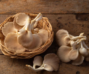 Jesz grzyby? Boczniaki to Twój sekret na niższy cholesterol i walkę z komórkami rakowymi