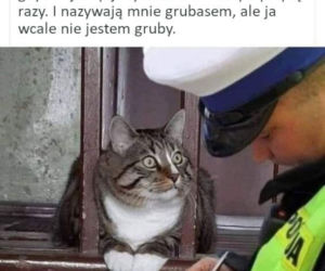 Święto Policji wypada 24 lipca. Mundurowi odbiorą życzenia, a internet już szykuje swoje memy
