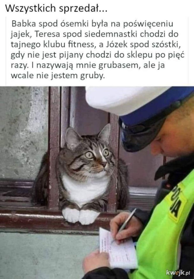 Święto Policji wypada 24 lipca. Mundurowi odbiorą życzenia, a internet już szykuje swoje memy
