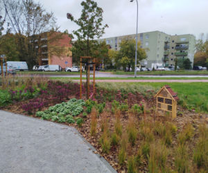 Park kieszonkowy w Siedlcach przy ul. Brzeskiej