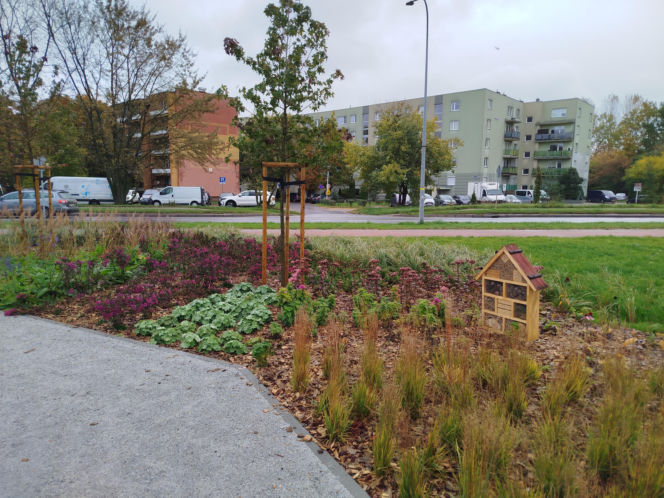 Park kieszonkowy w Siedlcach przy ul. Brzeskiej