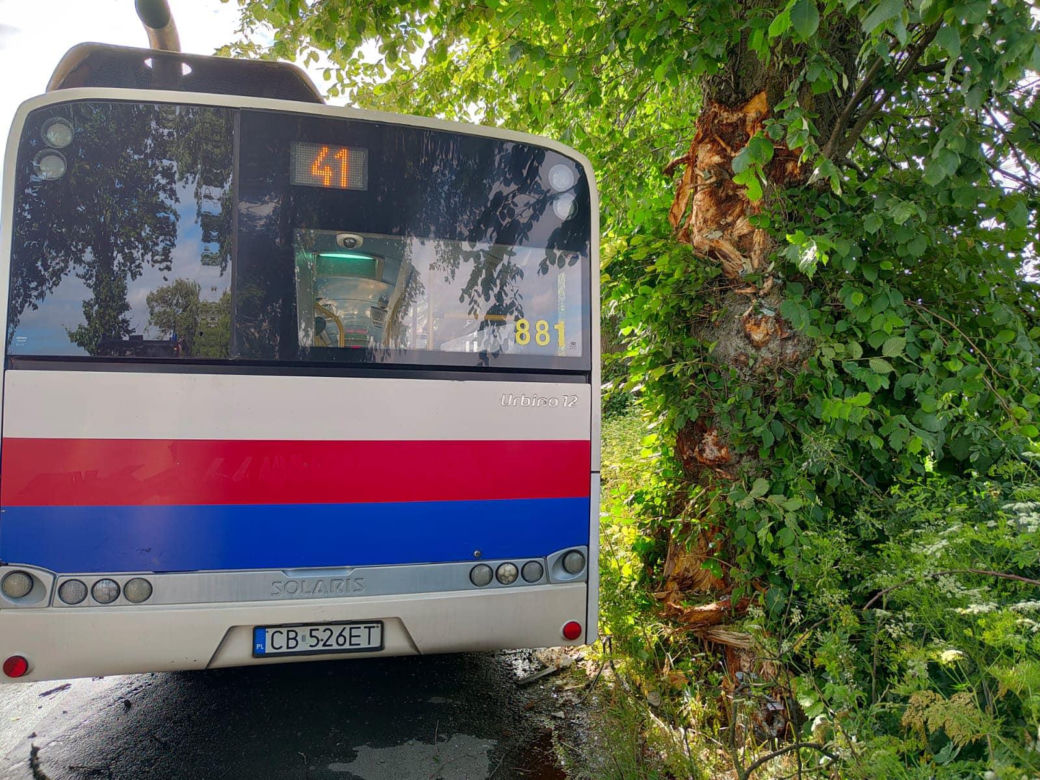 Pod Bydgoszczą autobus podmiejski uderzył w drzewo. Kilkanaście osób jest rannych!