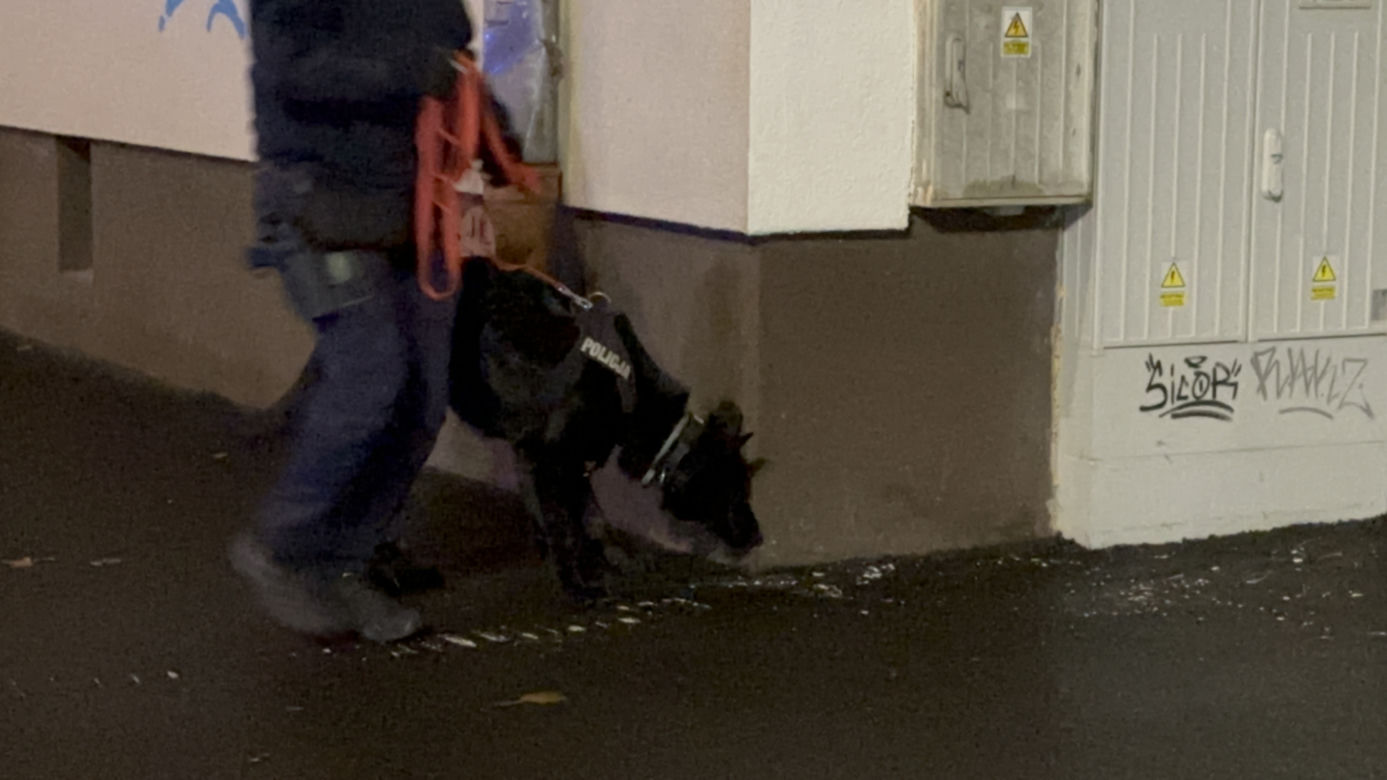 Nocny pościg ulicami Warszawy. Ranny policjant, w akcji pies tropiący