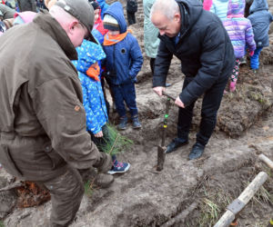 Posadzili nowy krzywy las