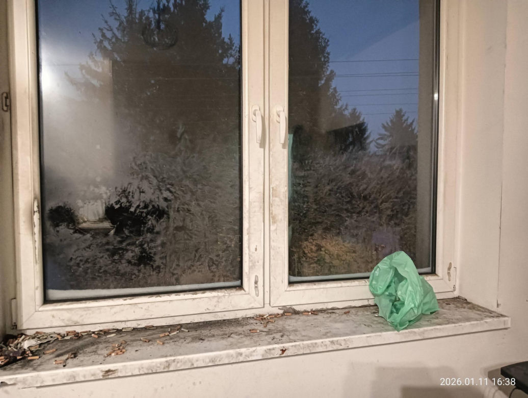 Interwencja inspektorów TOZ z Katowic w Sosnowcu