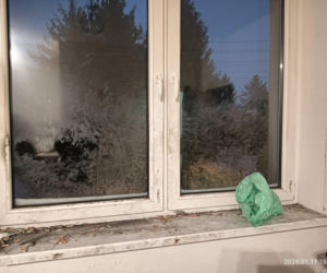 Interwencja inspektorów TOZ z Katowic w Sosnowcu