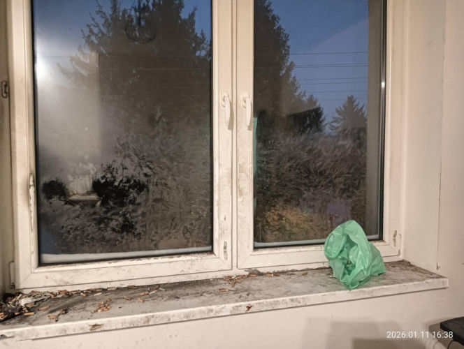 Interwencja inspektorów TOZ z Katowic w Sosnowcu