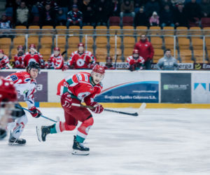 KH Energa Toruń - Zagłębie Sosnowiec 3:2 - zdjęcia z meczu i trybun