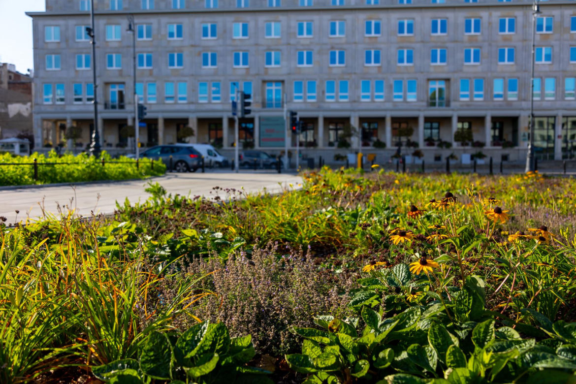 Zmodernizowany Plac Trzech Krzyży