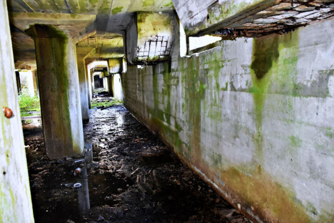 Tajemnicza podziemna hala w woj. warmińsko-mazurskim. Nikt nie wie, co tam się znajdowało