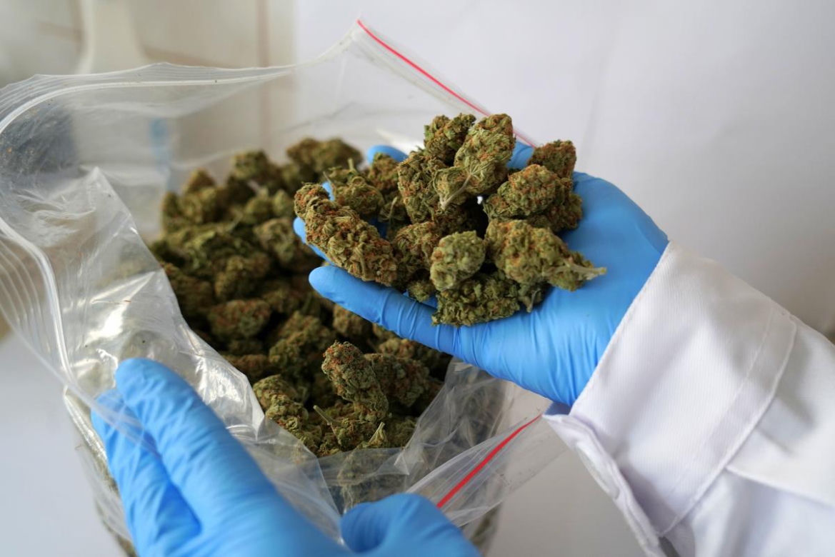 Marihuana